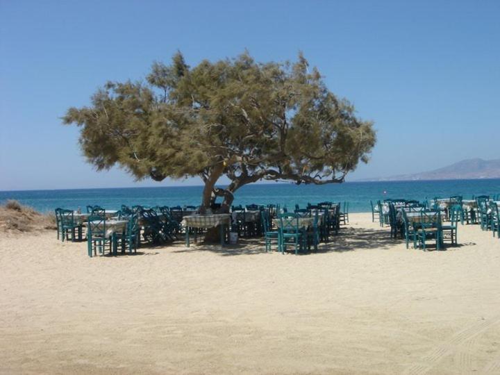 Villa Harmony Agia Anna (Naxos) Exterior foto